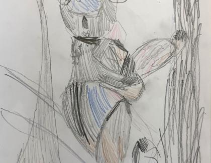 Led pencil drawing of koala in tree