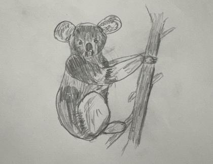 Led pencil of koala sitting in tree