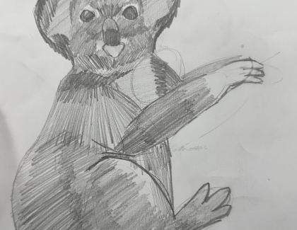 Led pencil drawing of koala