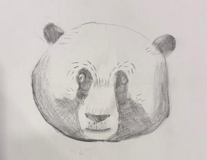 Led drawing of a panda face