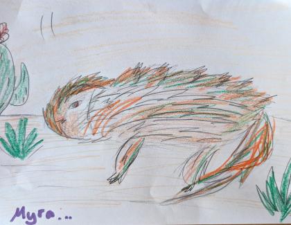 Colourful drawing of reptile 