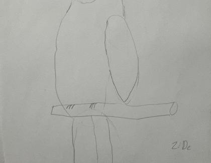 Led pencil drawing of bird