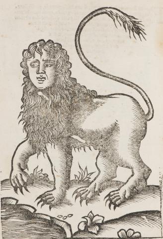 Drawing of lion with mane and curved tail