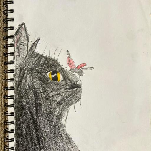 Artwork of cat with insect
