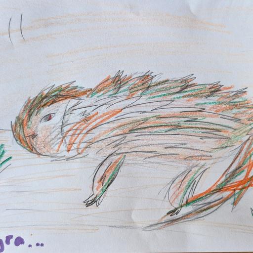 Colourful drawing of reptile 
