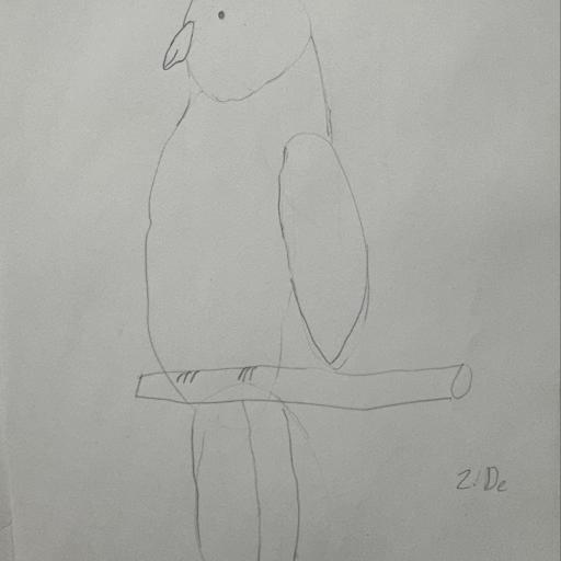 Led pencil drawing of bird